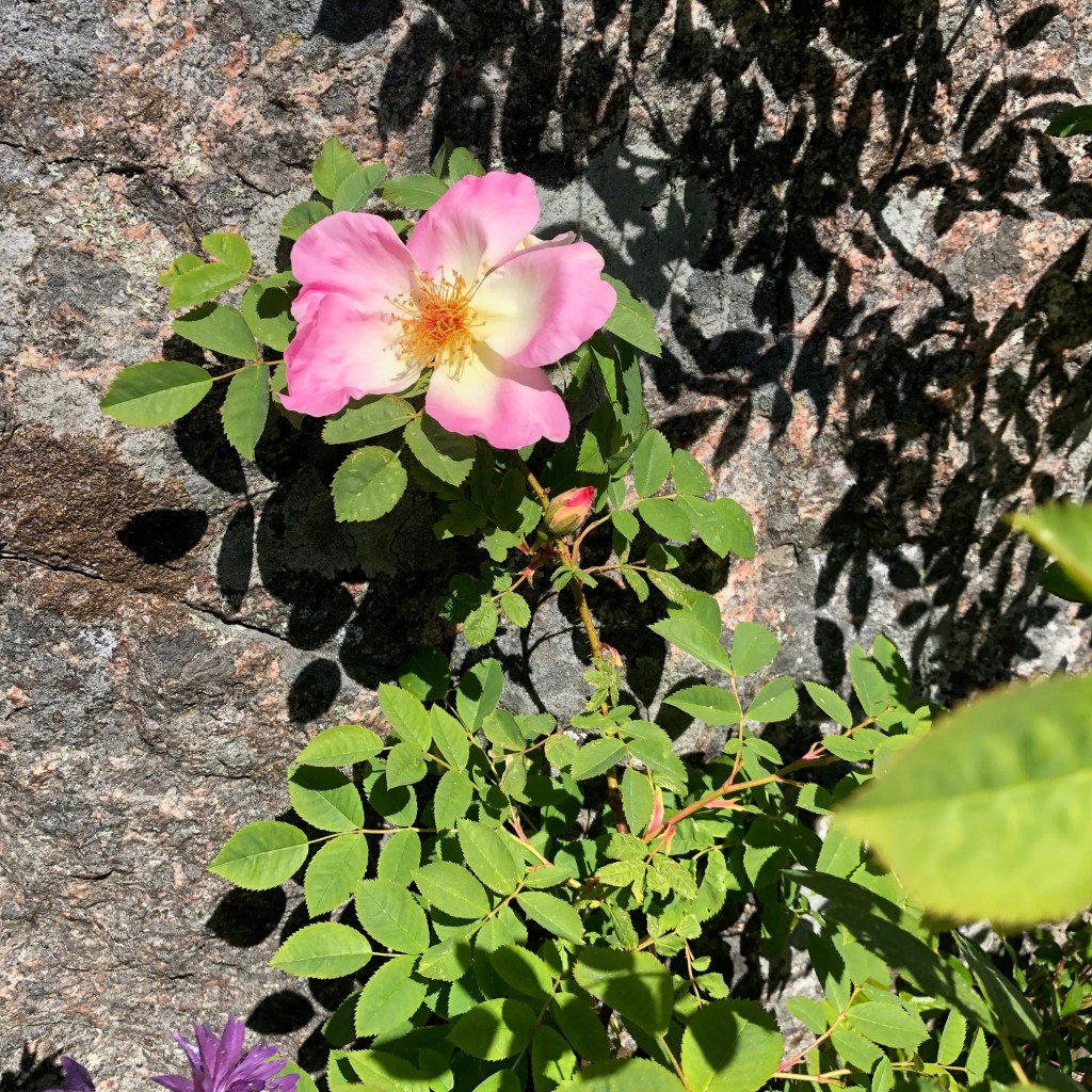 Menns helse og vekt | Medisinsk vektpleie av Yazen, image size:1024x1024