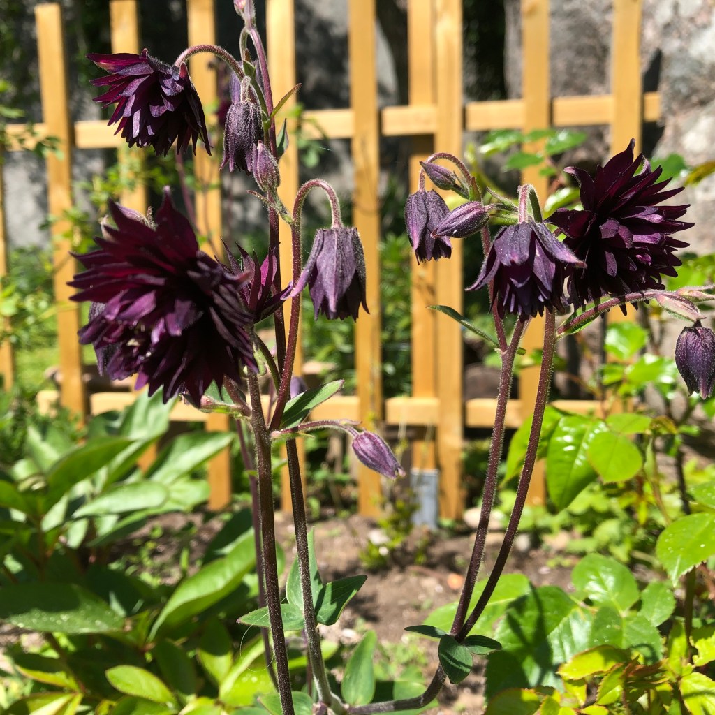 Agent boss»: Dette er de nye KI-begrepene for framtidas arbeidsplass, image size:1024x1024